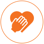 The Heart